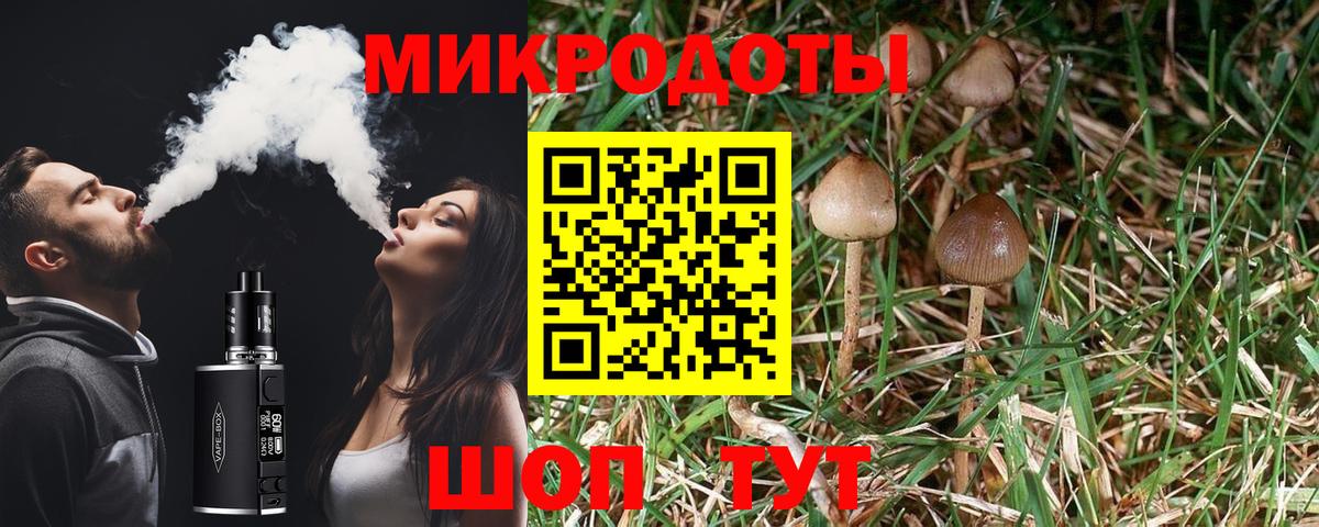 Галлюциногенные грибы MAGIC MUSHROOMS Выборг