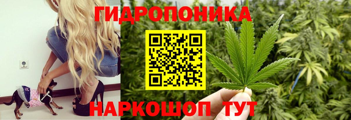Шишки марихуана MAZAR  Канабис OG Kush  Шишки марихуана Bruce Banner  Вход с VPN  Выборг 